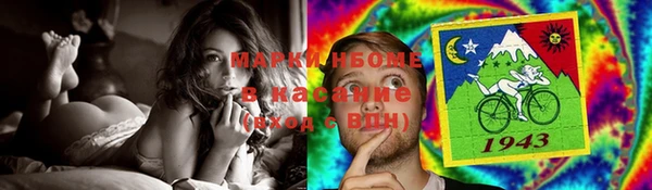 твердый Аркадак