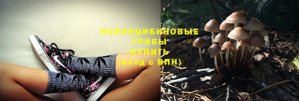 твердый Аркадак