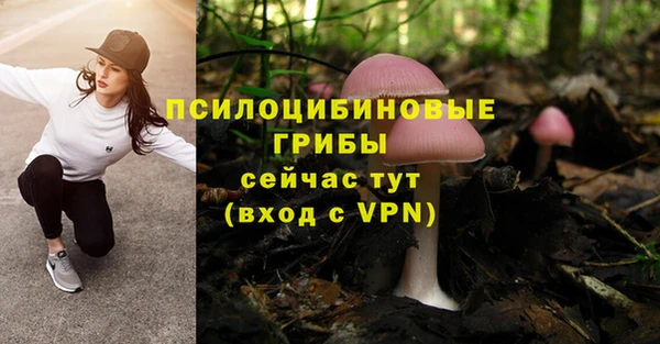 твердый Аркадак