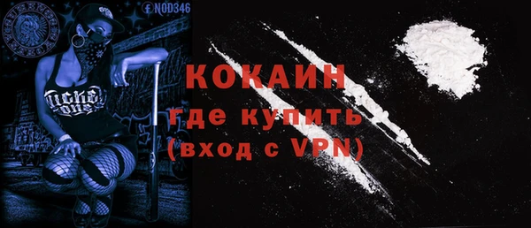 твердый Аркадак