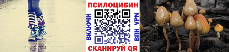 купить наркотик Белорецк mega зеркало Псилоцибиновые грибы MAGIC MUSHROOMS