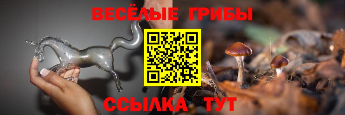 Псилоцибиновые грибы Magic Shrooms Белорецк